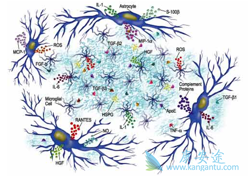 ϸ�����ӷ籩