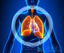 ��ϣ����Ͱ�ά���ᶼ�����ڷΰ�EGFRҩ��