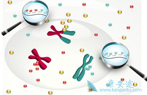 靶向药物 靶向药物