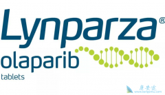 ���ٰ����߳�����׿/��������ǰҪ���BRCA����