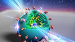 ��Сϸ���ΰ��Ĳ���������ʲô����Ӧ�İ���ҩ����Щ��