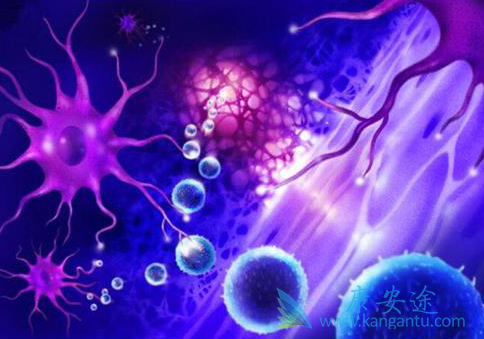 �෢�Թ�����