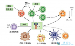��Ƥ�ʼ��ؿ�������סϸ�����ӷ籩��