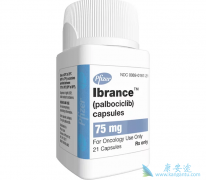 ��������/palbociclibЧ����ô����