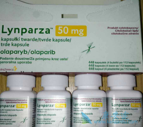 奥拉帕尼 奥拉帕尼