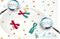 �������ڶ�е��Ұ���ø���Ƽ��ĸΰ���������ҩ������Щ��