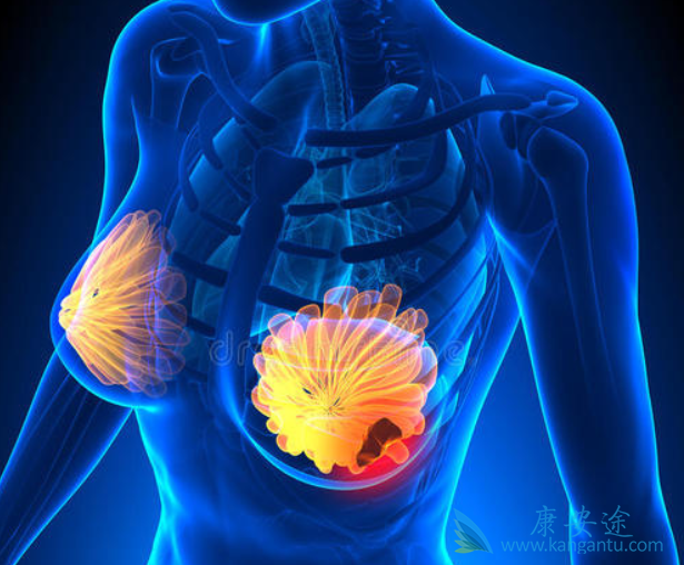 �������ٰ�