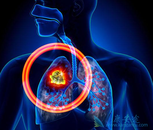 ��Сϸ���ΰ�