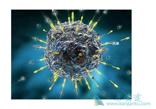 ��ɫ����