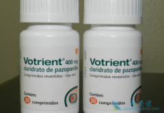 ��������/��������ĸζ��Ը���