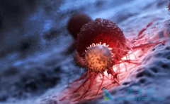 CAR-Tϸ���Ʒ��Թ������ɴﵽ90%����Ч