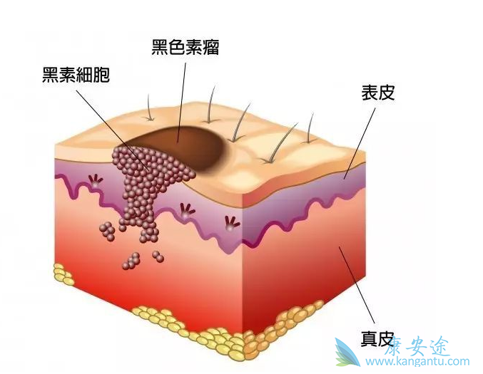 ��ɫ����ϸ��