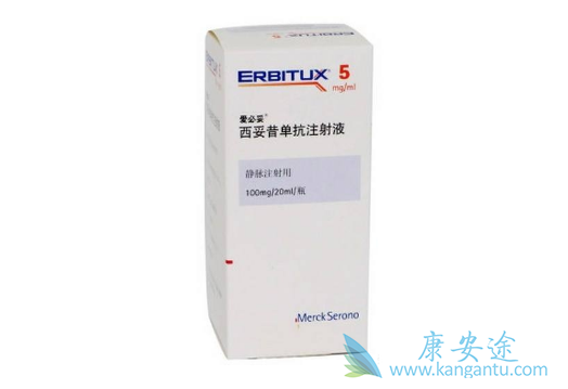 西妥西单抗 西妥西单抗