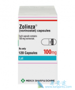 ����ŵ��/vorinostat�������ϸ�������������