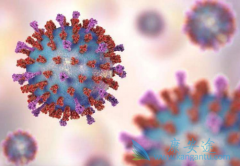 �����Τ�����͹�״������Ⱦ�ߵİ�ȫ��