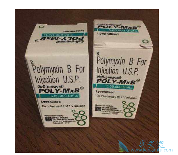 ע���������ճ����B