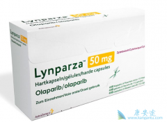 ��������������ת�������ٰ���PARP���Ƽ�