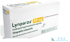 �����������Ƹ������ѳ���Ч������