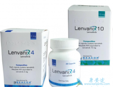 �ַ�����/�ط�����˵����