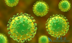 �����¿�ѧ�з���ҩ��Remdesivir/�����Τ�������ܹ�ע