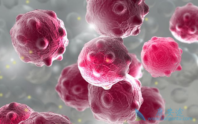 ���͹�״����