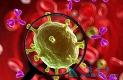 2019���͹�״����������������ҩ��������Τ����