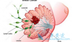 �����������Ϸ��㻯ø���Ƽ������AI��ҩ��Ч����