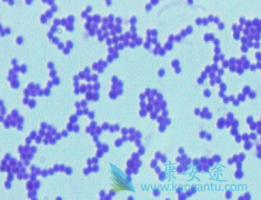 ˹��/������ΪʲôҪ����ʹ��