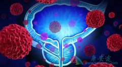 ��������/����������Ⱥ������Щ��