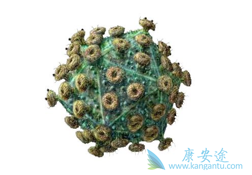 ������Τ��