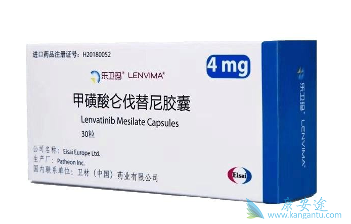 �ط�����