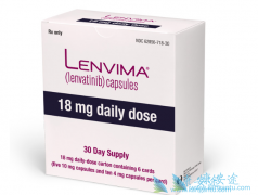 �ַ��������Ƹ�ϸ�����ļ����Ƕ���