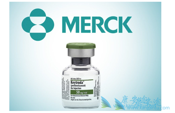 �ַ�����