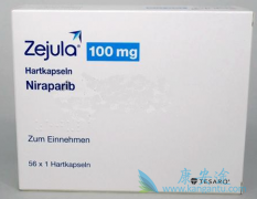 Zejula/niraparibʵ�����ݺ���