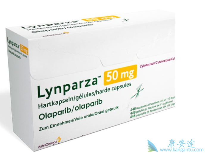 1583826209202851.png 13.png