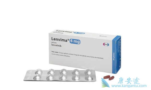 �ط�����