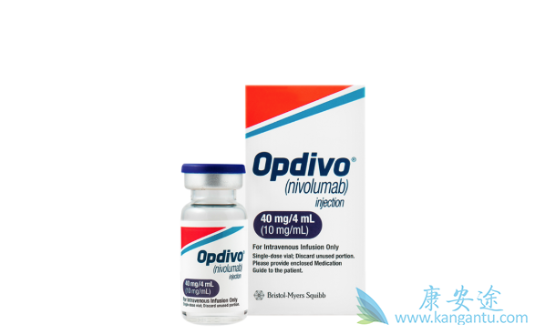 ��ϸ����