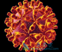 ������Τ��/��³��Τ���ƺ���������