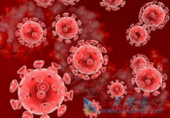 ������Τ��(DTG)�������Ʒ���ҩ�Ը�ǿ