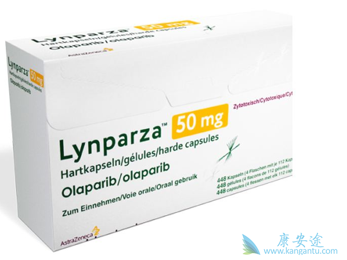 ��������˵����