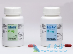 ���������ں�ɫ���������е�Ӧ��