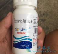 ӡ�ȶ༪�����Ƹΰ����ܺ��ӵ�����