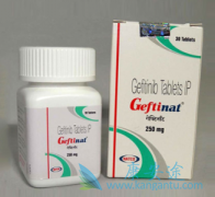 (Gefitinib)¸ҩٴ洦