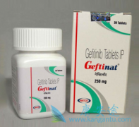 (gefitinib)άĪ˾EGFRmTOR