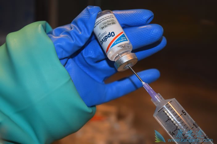 ��PD-1Ϊ�е���������Ƽ��ڶ�����������з�������Ч��