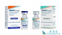 PD-1(nivolumab)ӦPD-1(Opdivo)˵